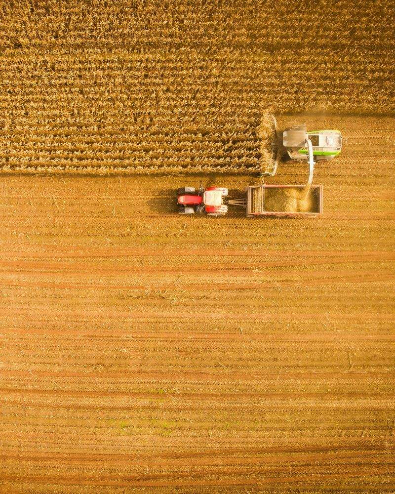 AgroValle Ibérico