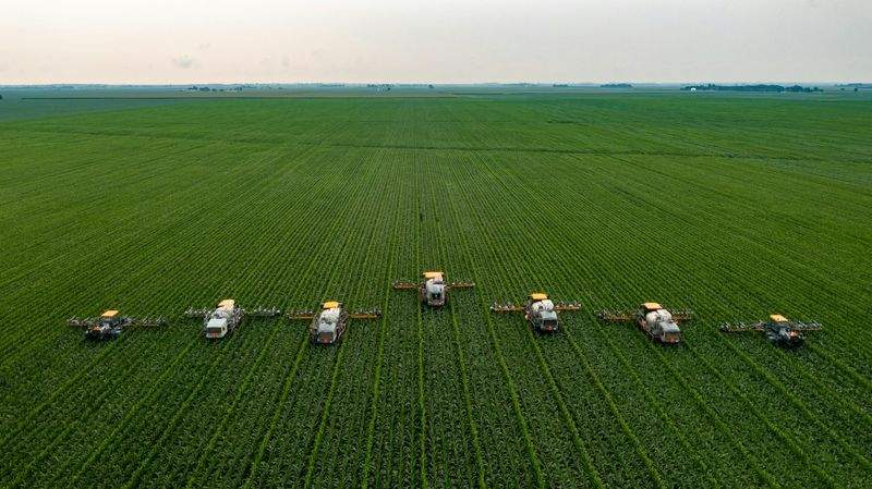 Consultoría para agricultura sostenible y eficiencia productiva